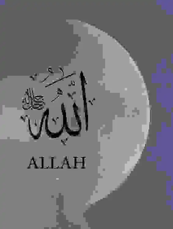 ISLAM And World IMPORTANT🤝🌍 post