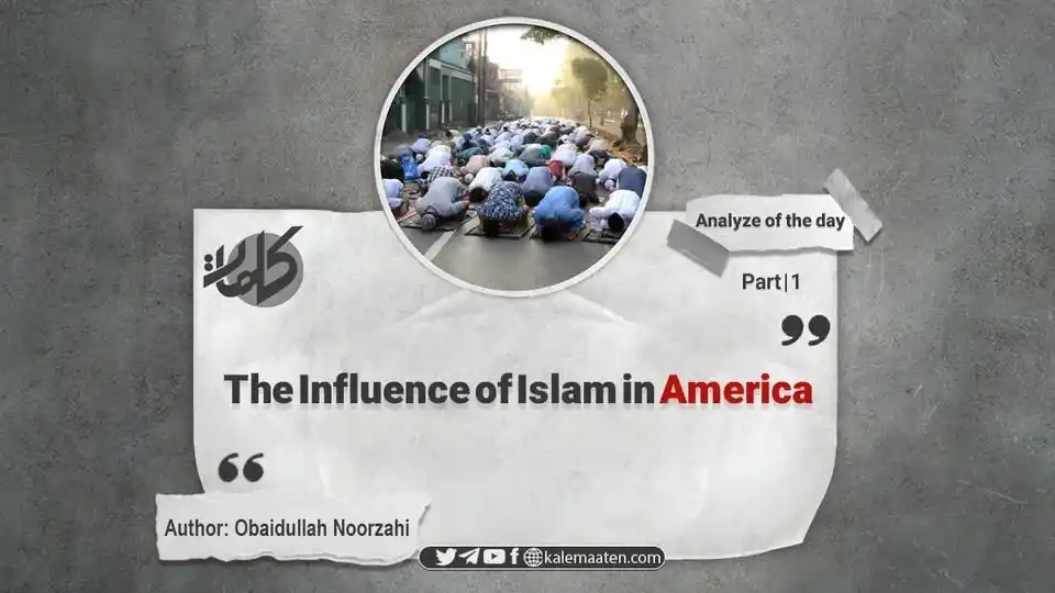 Kalemaat English post