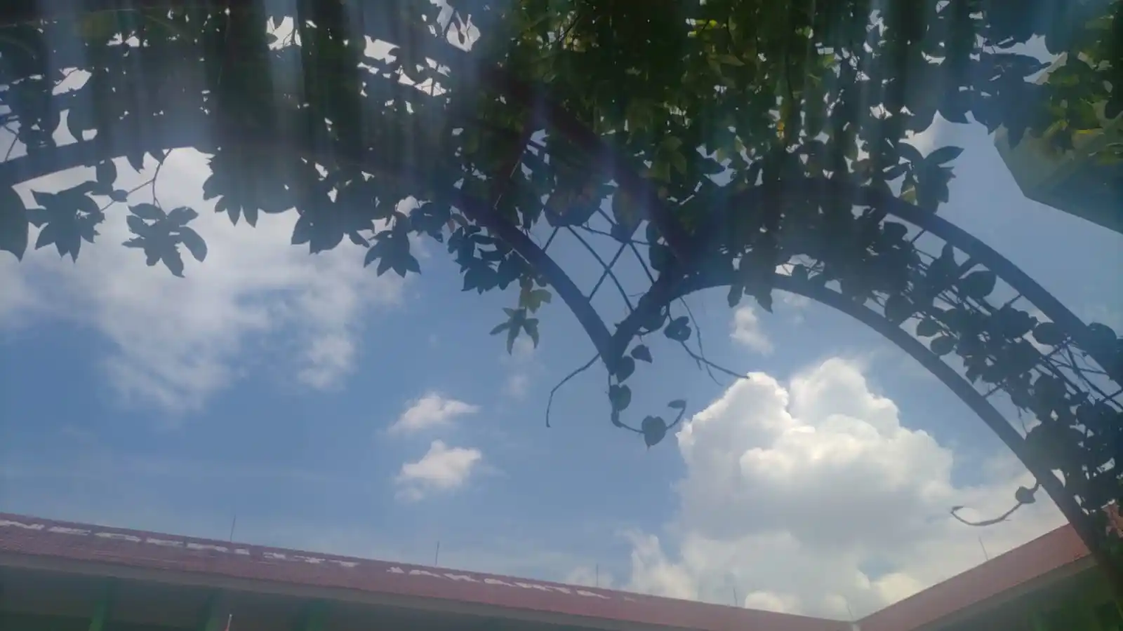 kalil🅰️'s area ❗❗</3 post