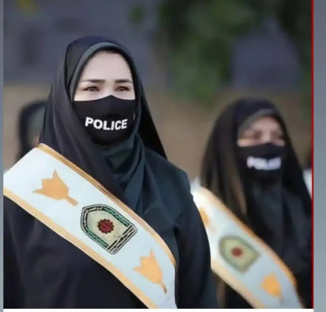 کانال محمد مهدوی‌فر در واتساپ post