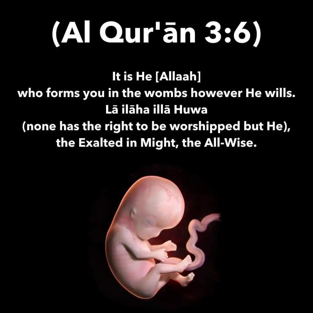 قناة عبدالله الغفاري || Abdullah Al-Gaffari post