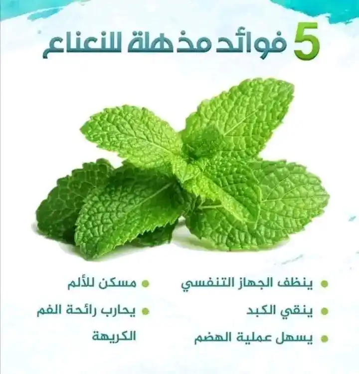 قناة الرقية الشرعية post