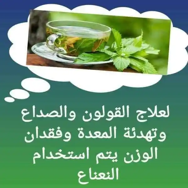 قناة الرقية الشرعية post