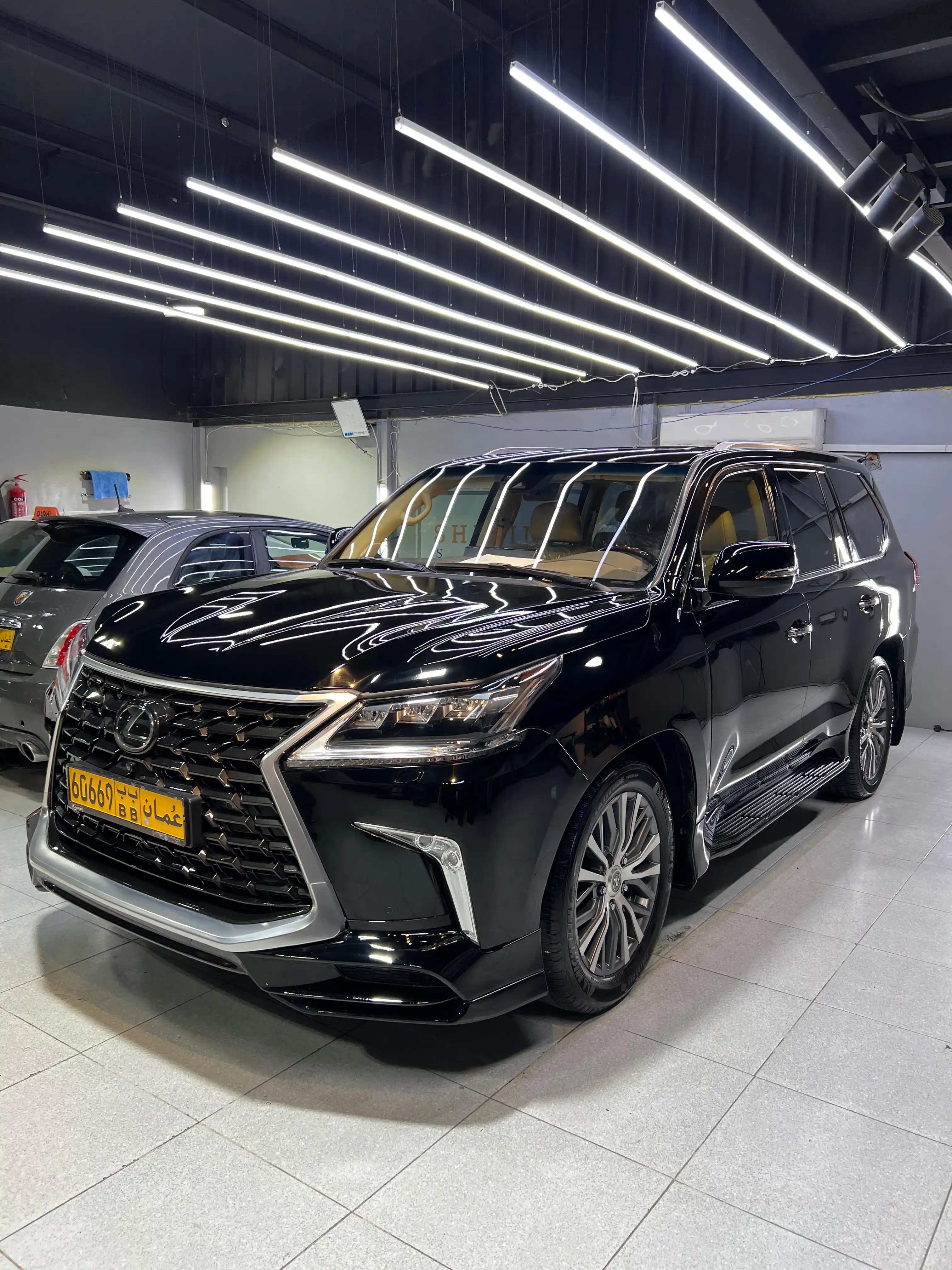 قناة مواشي عمان post