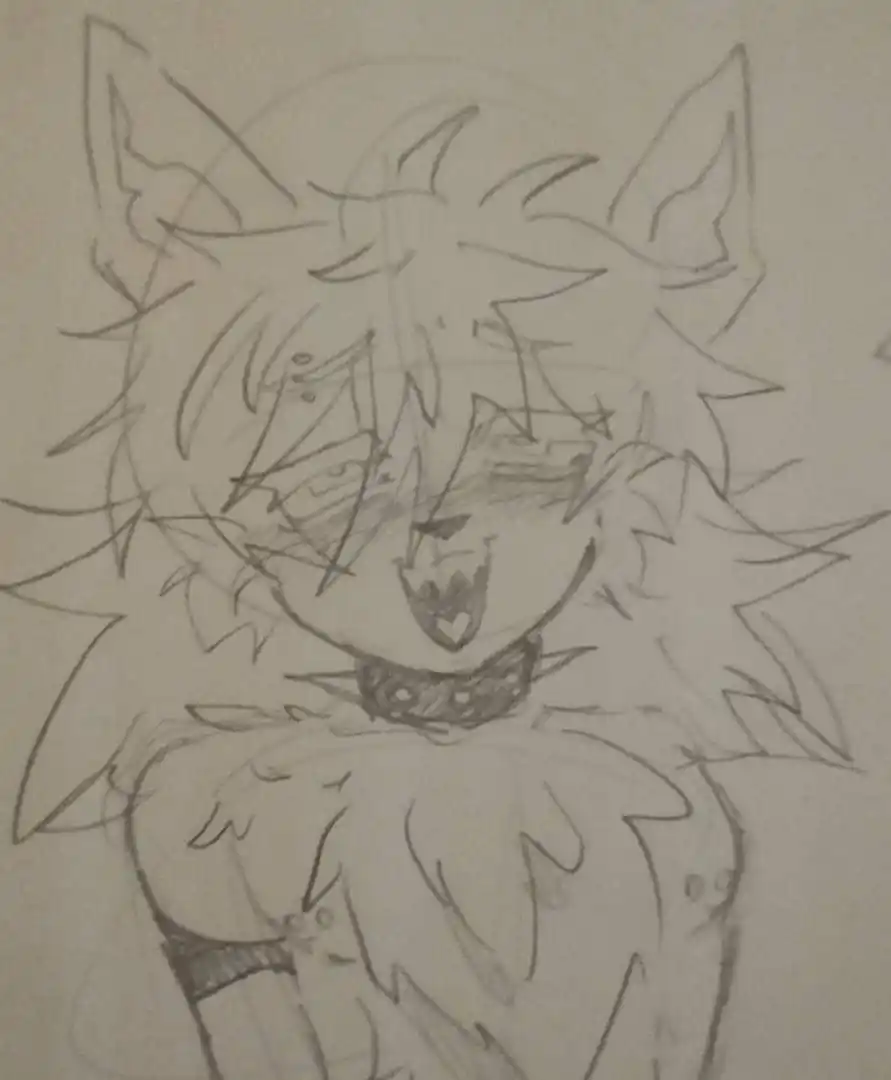 ┆🅛🅐🅤 〰︎ ᵈᶦᵇᵘʲᶦᵗᵒˢ🦨🌷┆ post