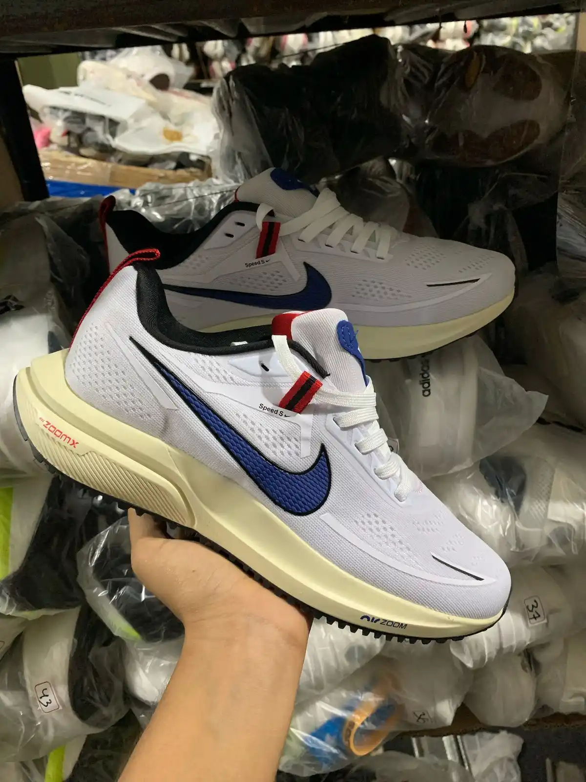 LOBO STORE BQ  post