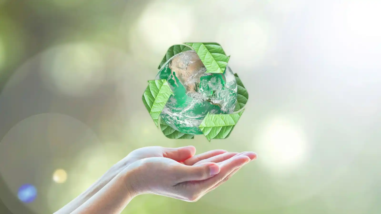 Image from Luceverde Infomobilità Roma: 📣 *Info | Avvisi | Roma* ♻️ "AMA IL TUO QUARTIERE" dalle ore 08:00...