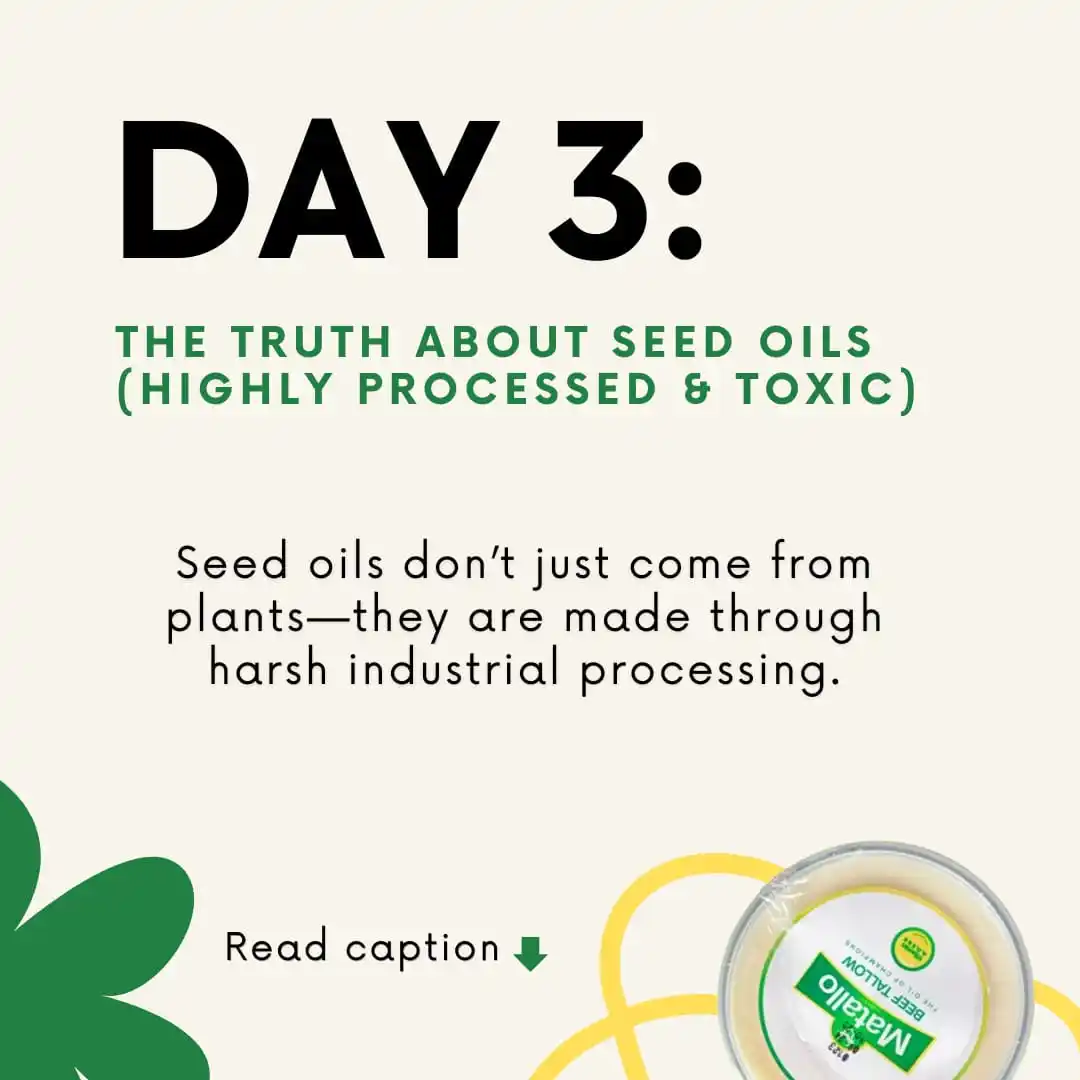 Matallo's Premium Beef Tallow Cooking Oil post