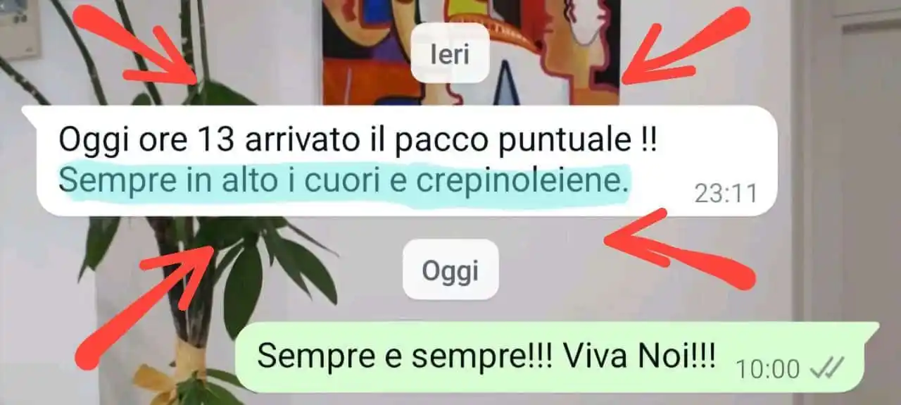 Matteo Il Farmacista Libero post