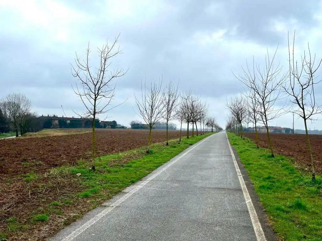 MBNews - Giornale online Monza e Brianza  post