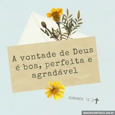 🏆ᴍᴇɴsᴀɢᴇɴs ᴅᴇ ғᴇ́ ᴏғᴄ post