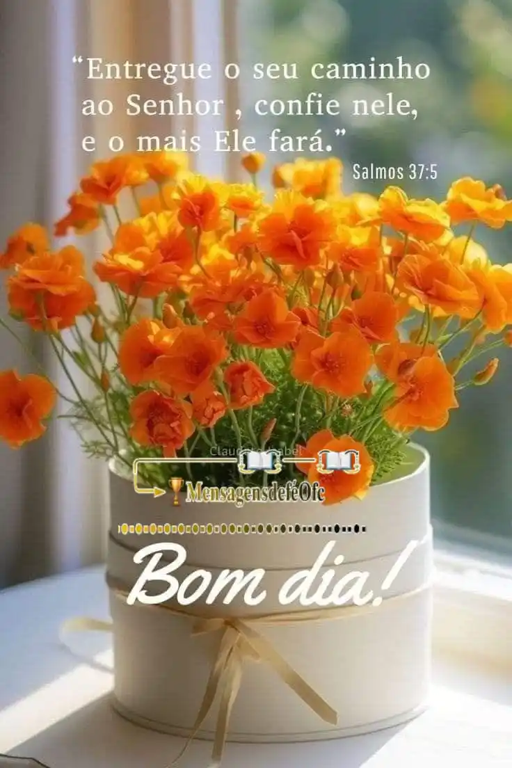 🏆Mensagens De Fé Ofc post