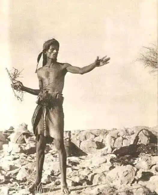 fatawaa فتاوى وأقوال فضيلة الشيخ عبد العزيز البرعي post