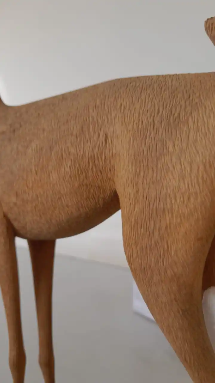 Museo Fueguino de Arte Niní Bernardello post