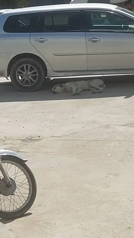 مینه او درد 💝 💝 post