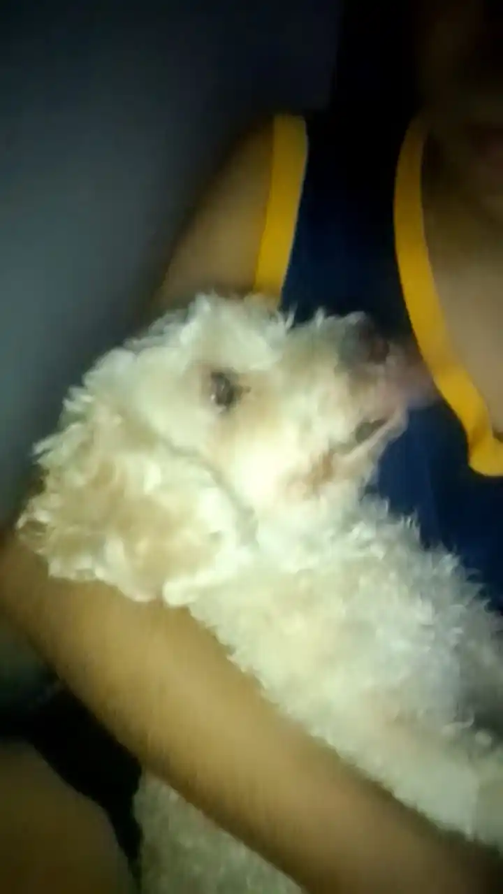 nachooooooo post