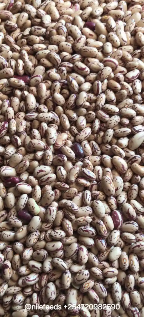 Nile Feeds and Cereals Supplies post