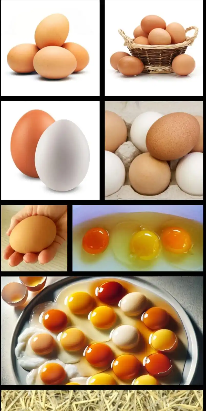 Image from Nile Feeds and Cereals Supplies: ✨️✨️THE SECRET OF BIG DEEP YELLOW CHICKEN EGGS 🥚 🪺 💛 💚💚💚 The se...