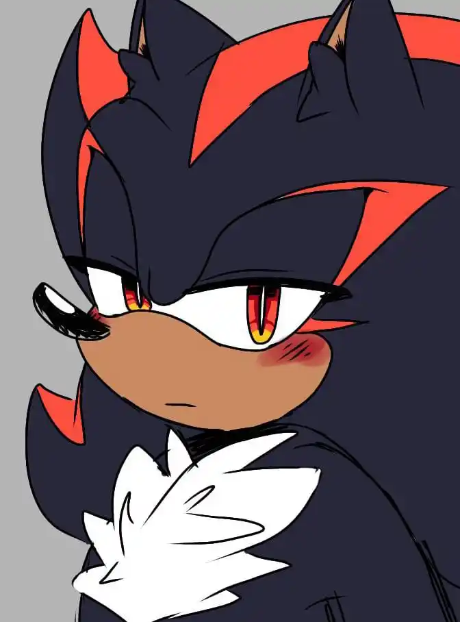 Noticias De Nuestro Erizo Favorito post