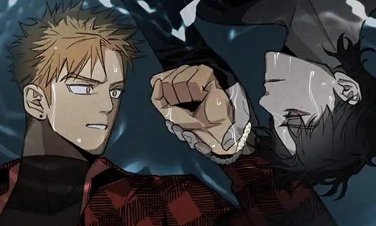 ㅤ𖹭᷑ㅤ🫐ㅤpαꭇα𝖽ı͜𝖼͜ᧉㅤ࣪  ㅤ꒰ㅤ ㅤ랑ㅤꭇᧉ𝖼𝗈𝗆ᧉn𝖽α𝖼ı͠𝗈nᧉ𝗌ㅤ 🫙 post