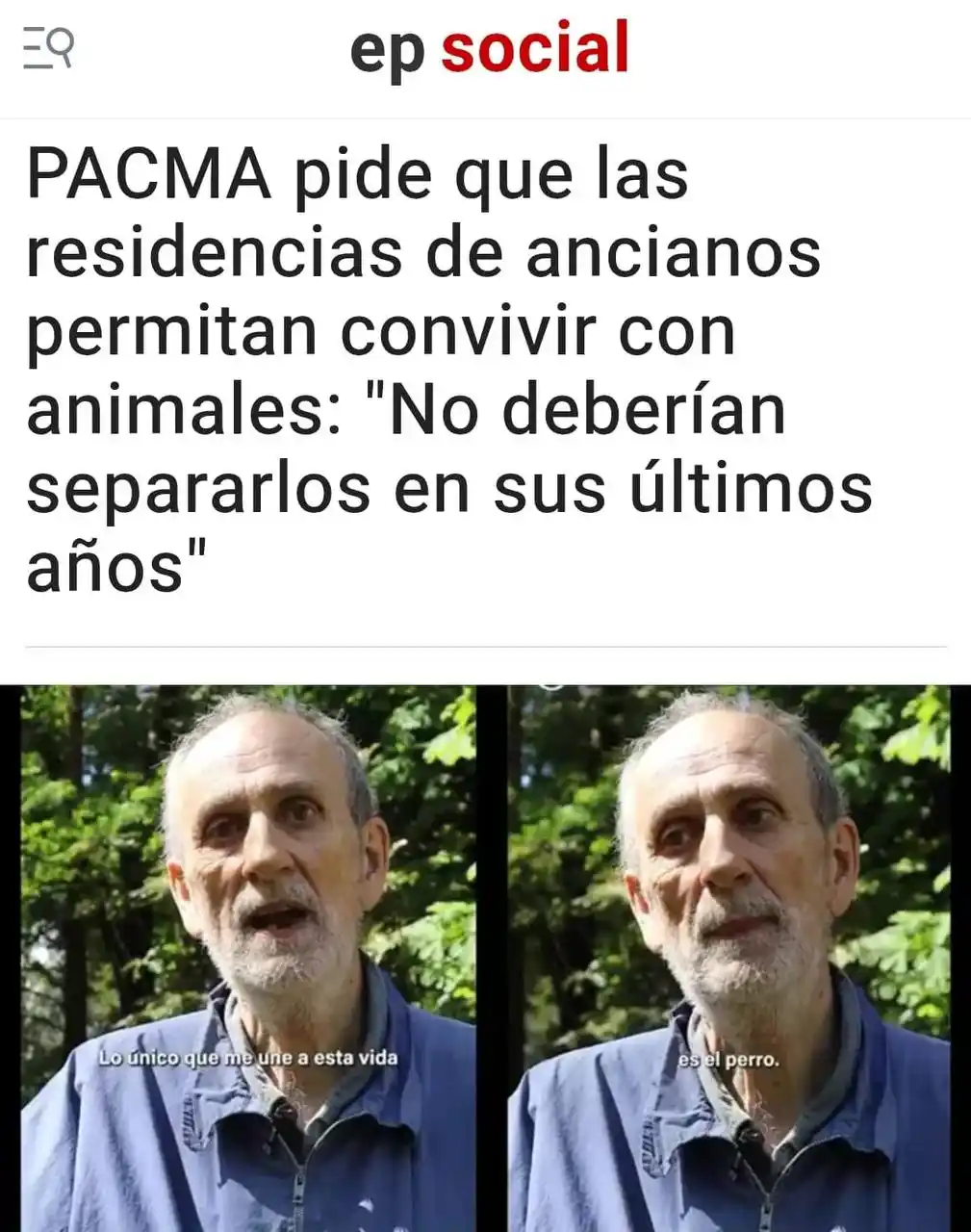 Image from PACMA: 🐶¿Te imaginas que te separen de tu mejor amigo y compañero de vida po...