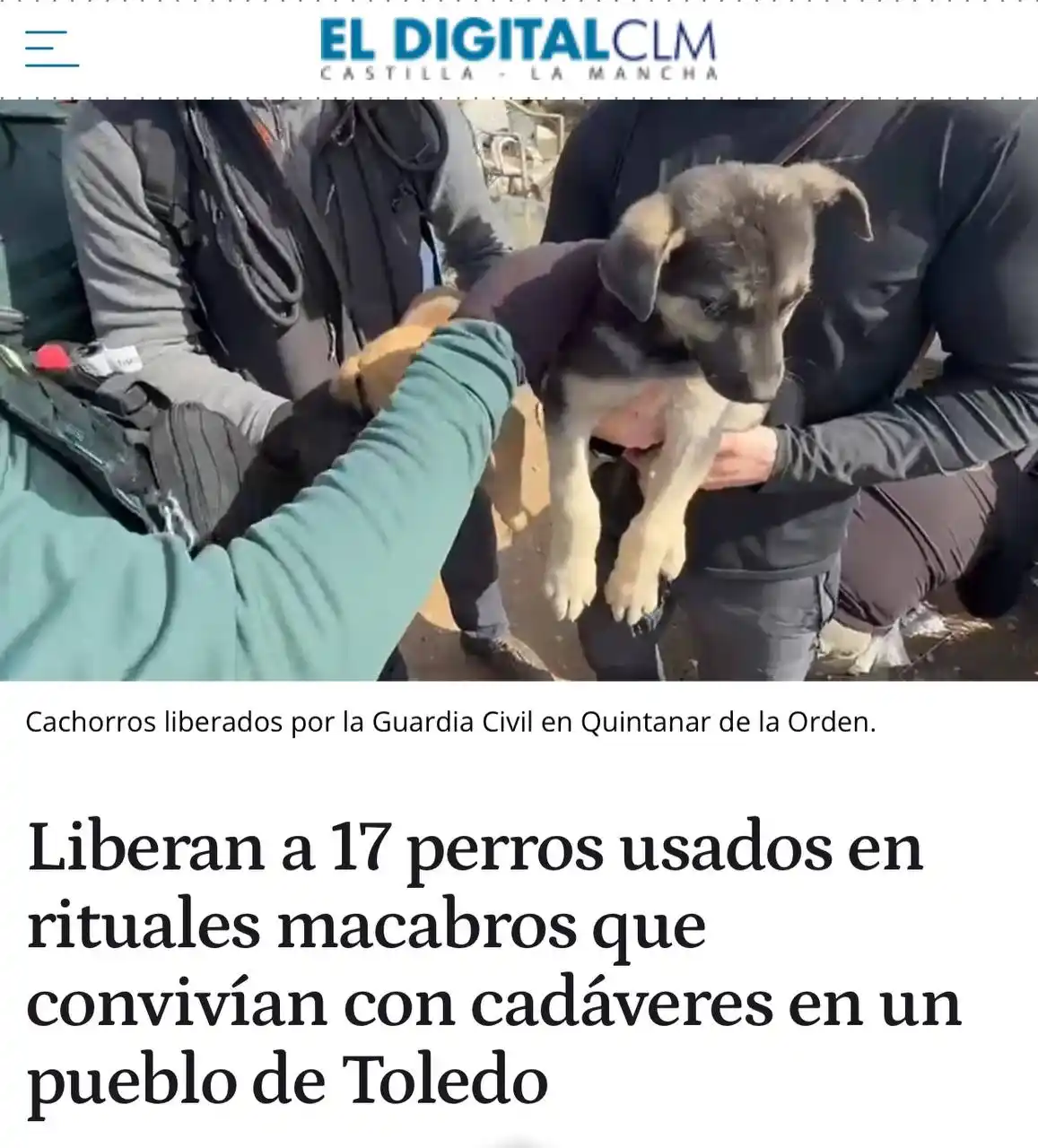 Image from PACMA: ❌¡Usaban perros para rituales macabros! 💂♂️La Guardia Civil ha resc...