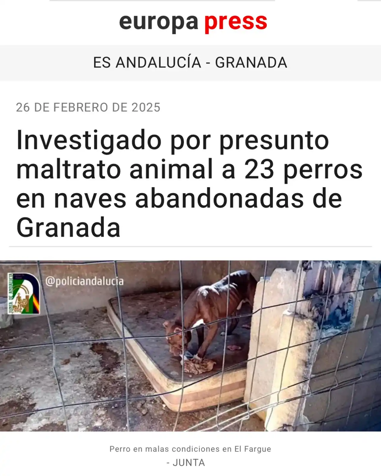 Image from PACMA: 🚔¡Merece pudrirse en la cárcel! ❌Un hombre "presuntamente" maltrató ...