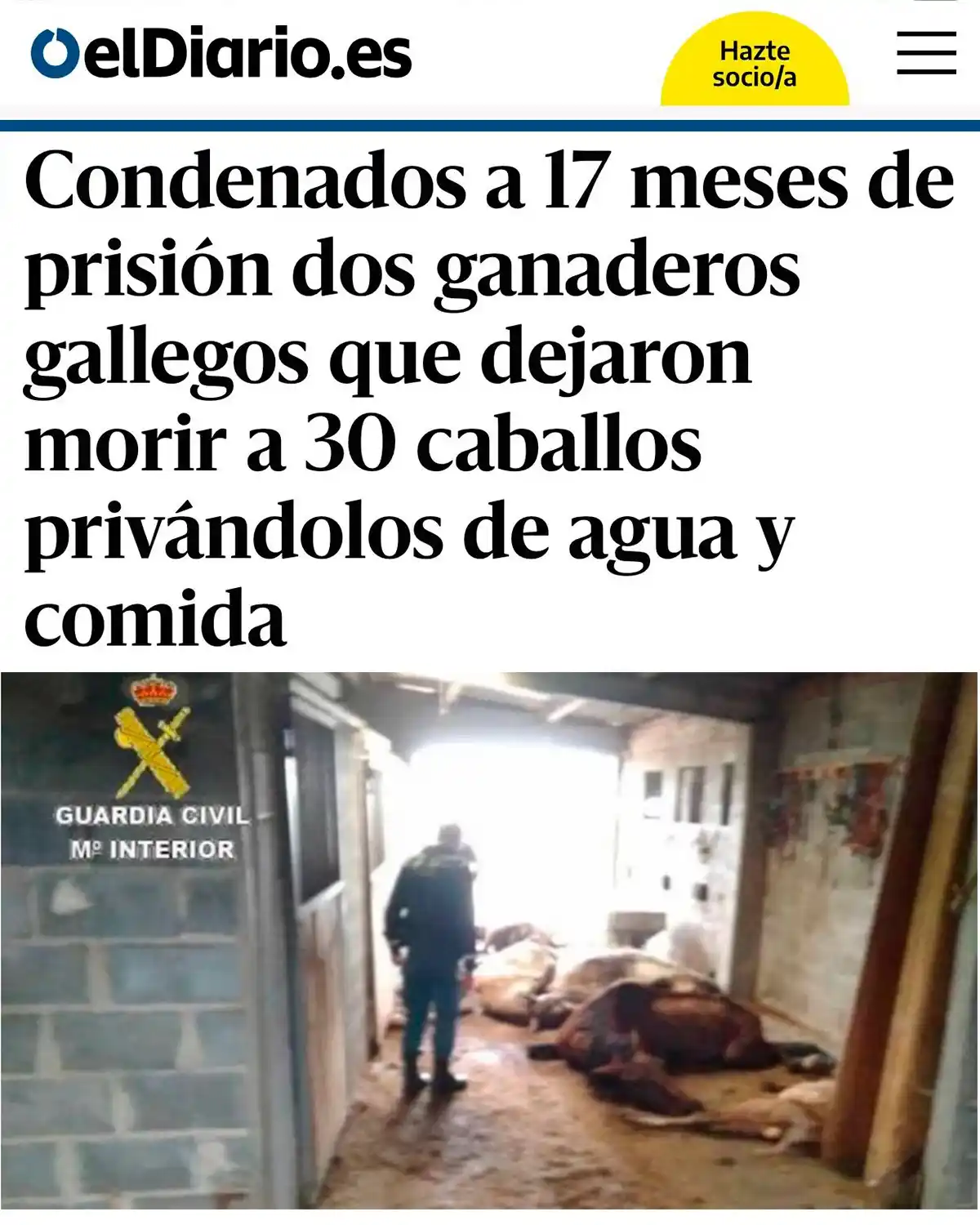 Image from PACMA: 🟢Solo en PACMA estamos dispuestos a acabar con los maltratadores de a...