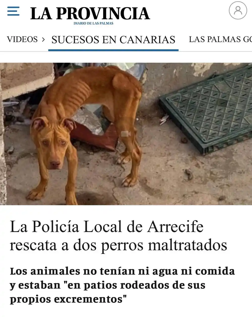 Image from PACMA: ❌¡Basta ya! 🚔La Policía Local de Arrecife ha rescatado a dos perros ...