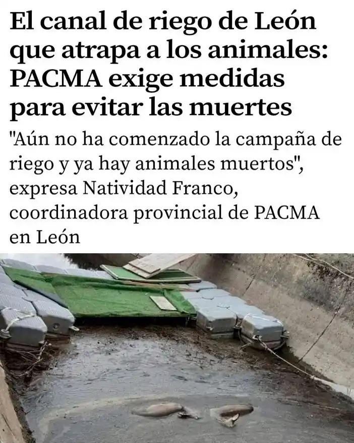 Image from PACMA: 🦌¡Una trampa mortal que sigue cobrándose vidas! 💧Aún no ha comenzad...