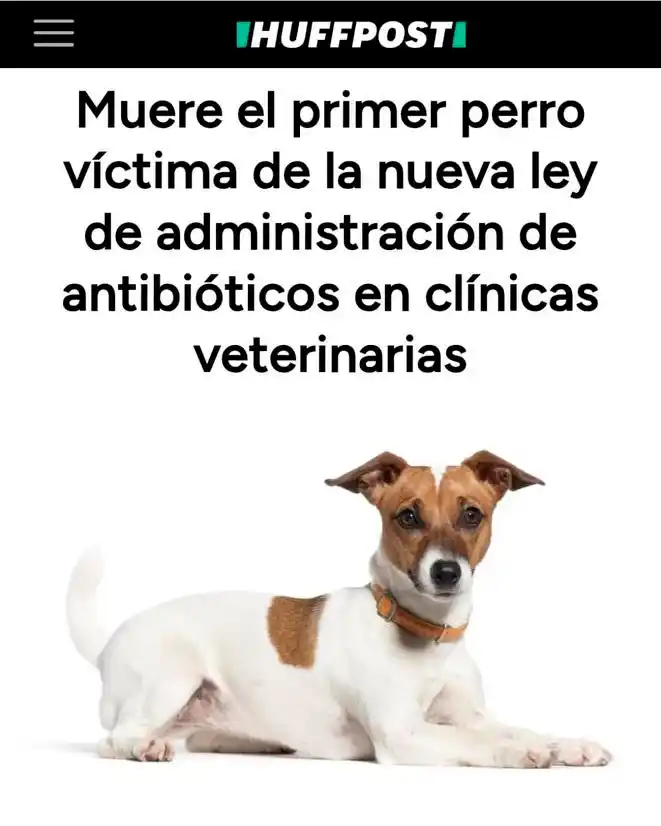 Image from PACMA: ❌¡El Real Decreto 666/2023 se cobra su primera víctima! 🐶Selva ha fa...