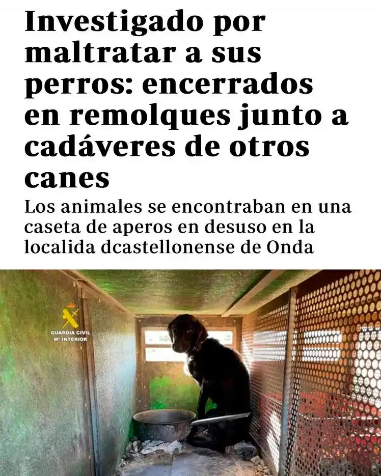 Image from PACMA: ❌¡No se puede permitir!  🐶Tres perros muertos y otros tres desnutrido...
