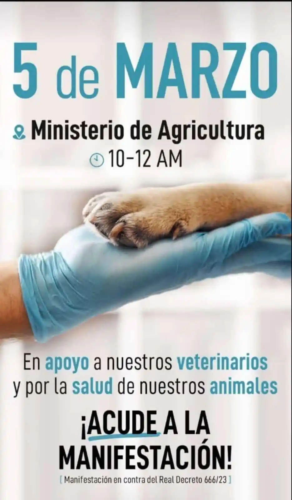 Image from PACMA: ✊¡Los veterinarios no están solos! 🩺Desde PACMA apoyamos las concent...