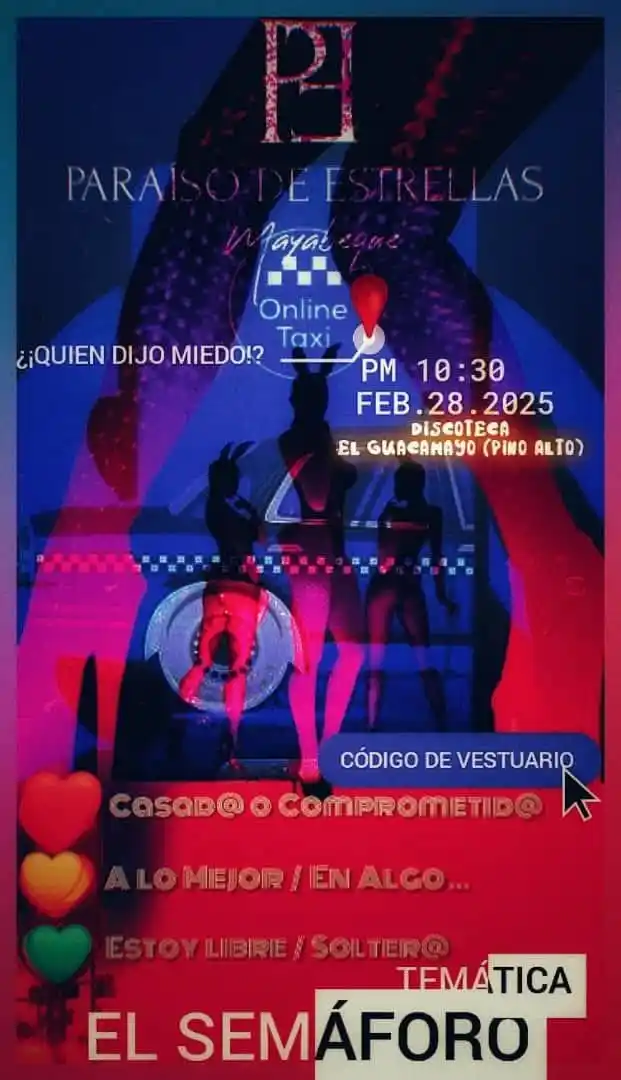 PARAÍSO DE ESTRELLAS 💫🐝 post