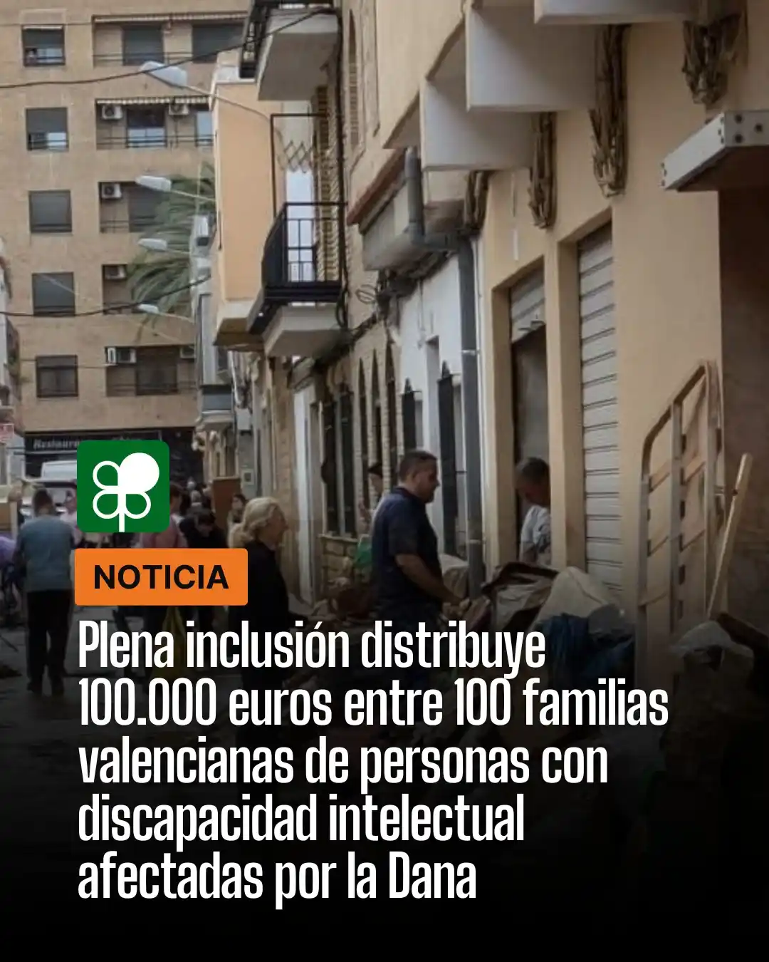 Plena inclusión España post