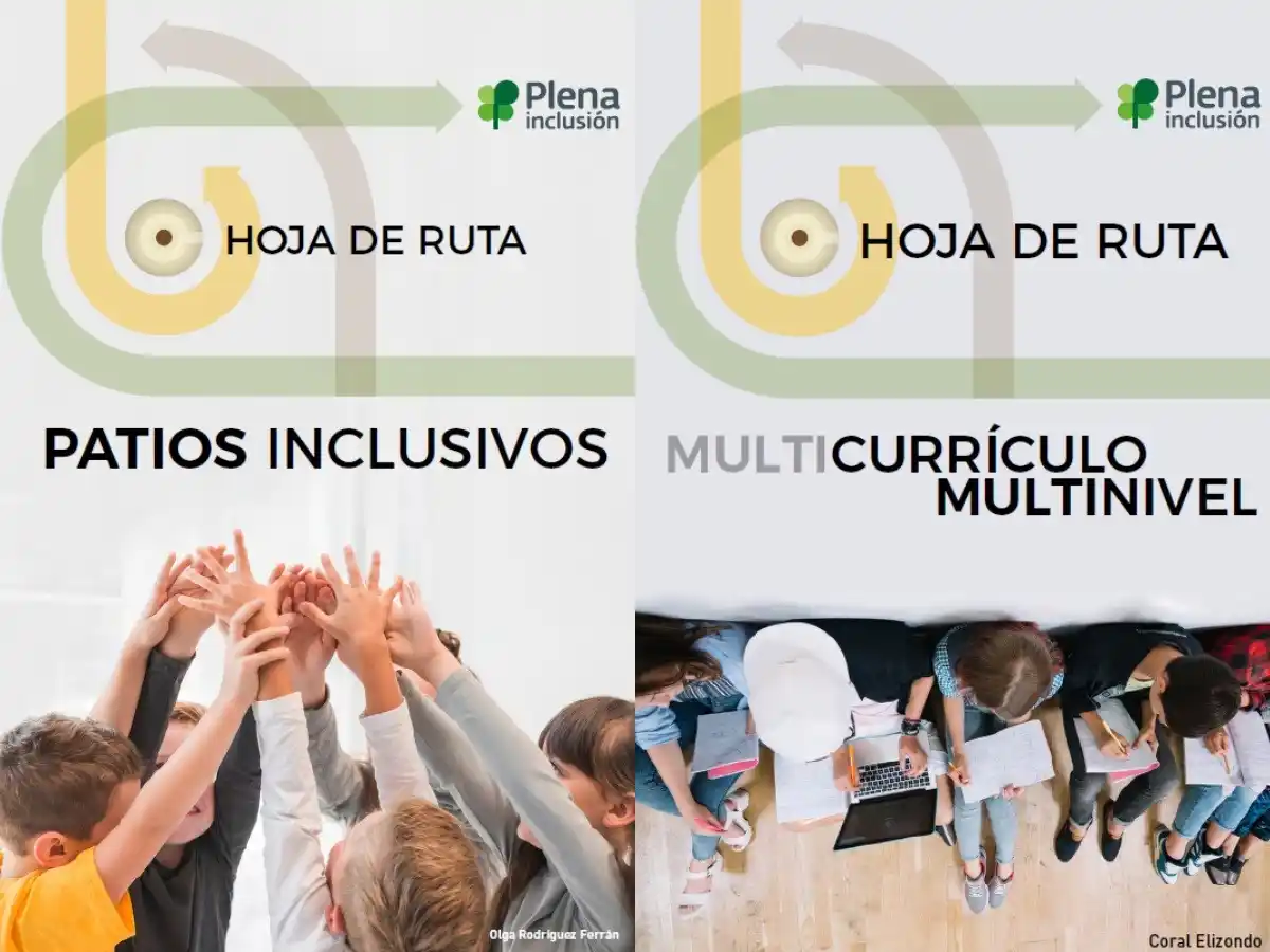 Plena inclusión España post