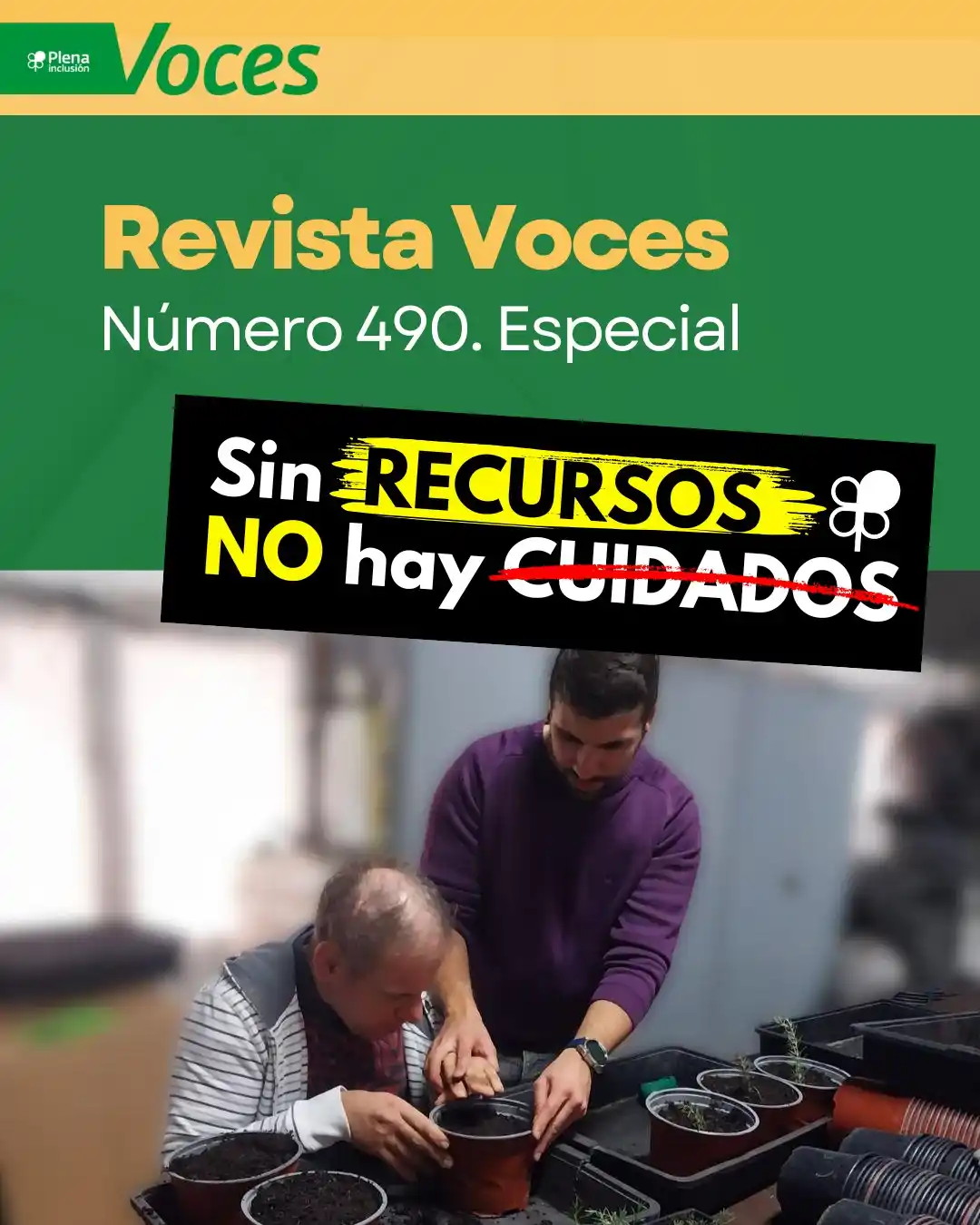 Plena inclusión España post
