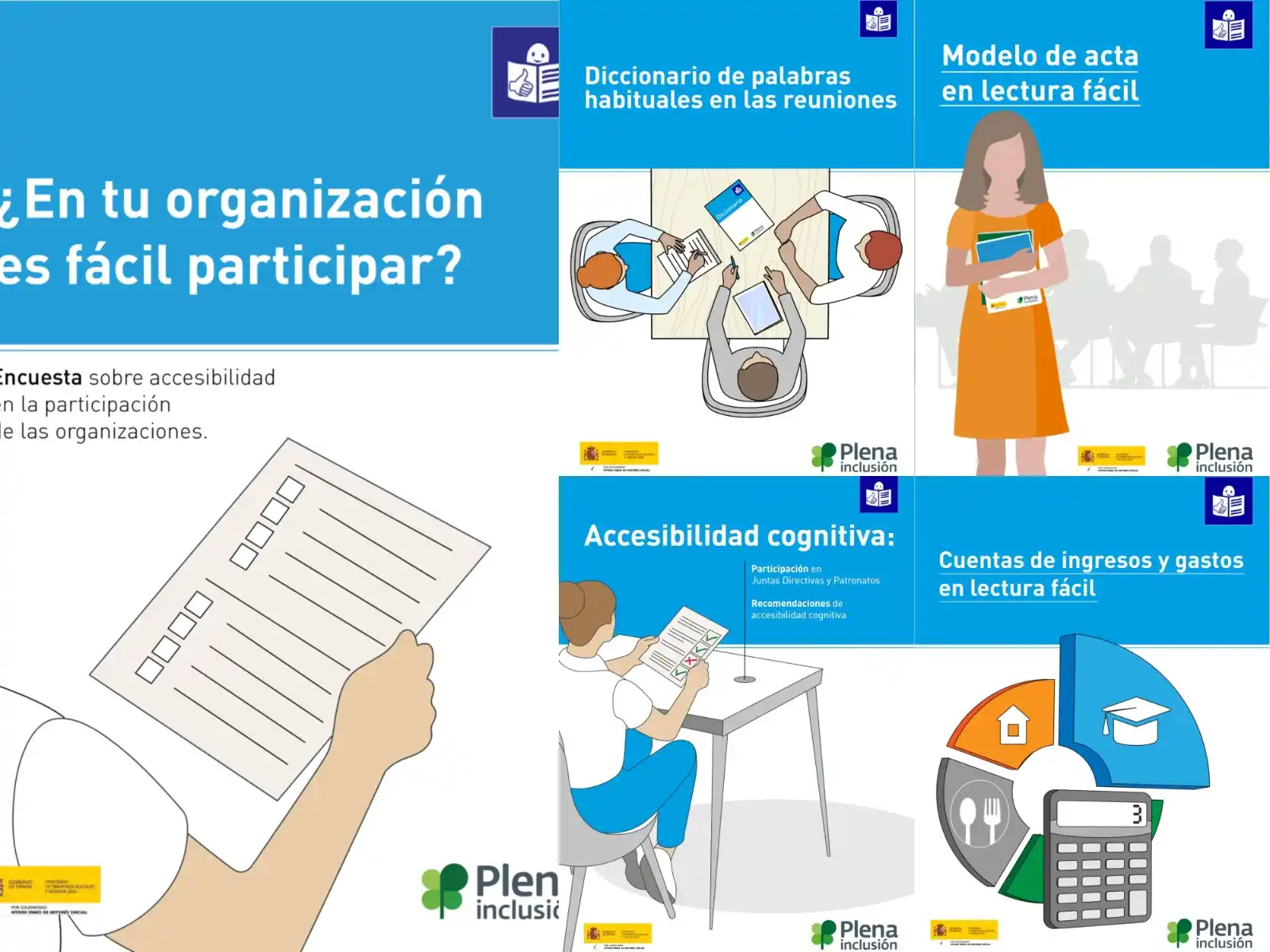 Plena inclusión España post