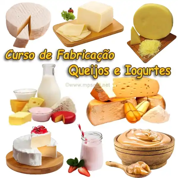 Portal do Conhecimento post