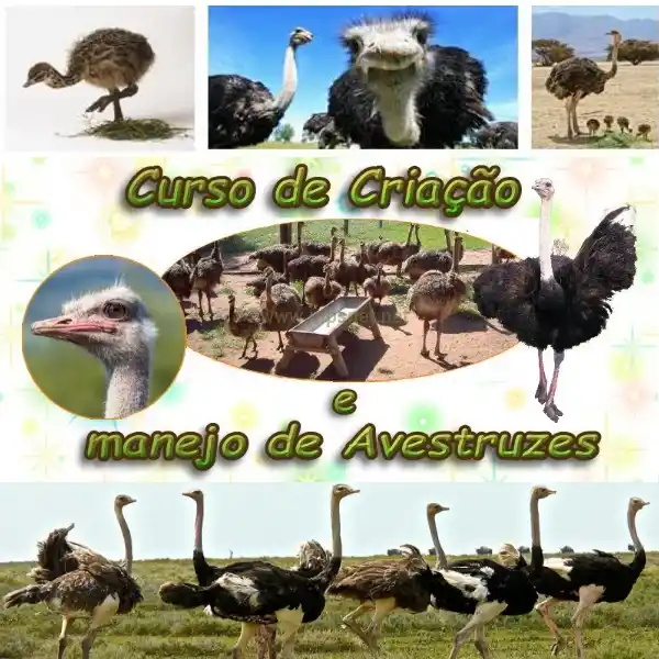 Portal do Conhecimento post