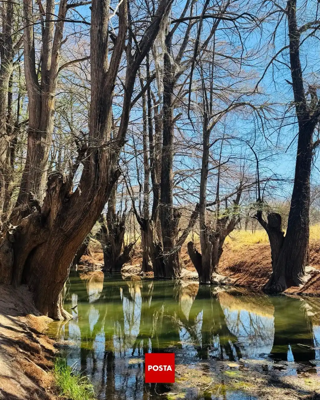 Image from POSTA Durango 🔴: *<a class="text-blue-500 hover:underline cursor-pointer" href="/hashta...