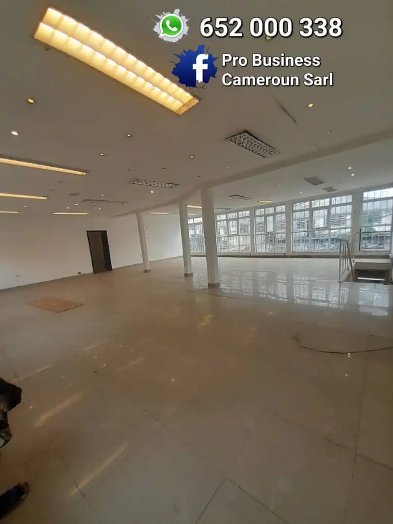 PRO BUSINESS CAMEROUN Sarl post