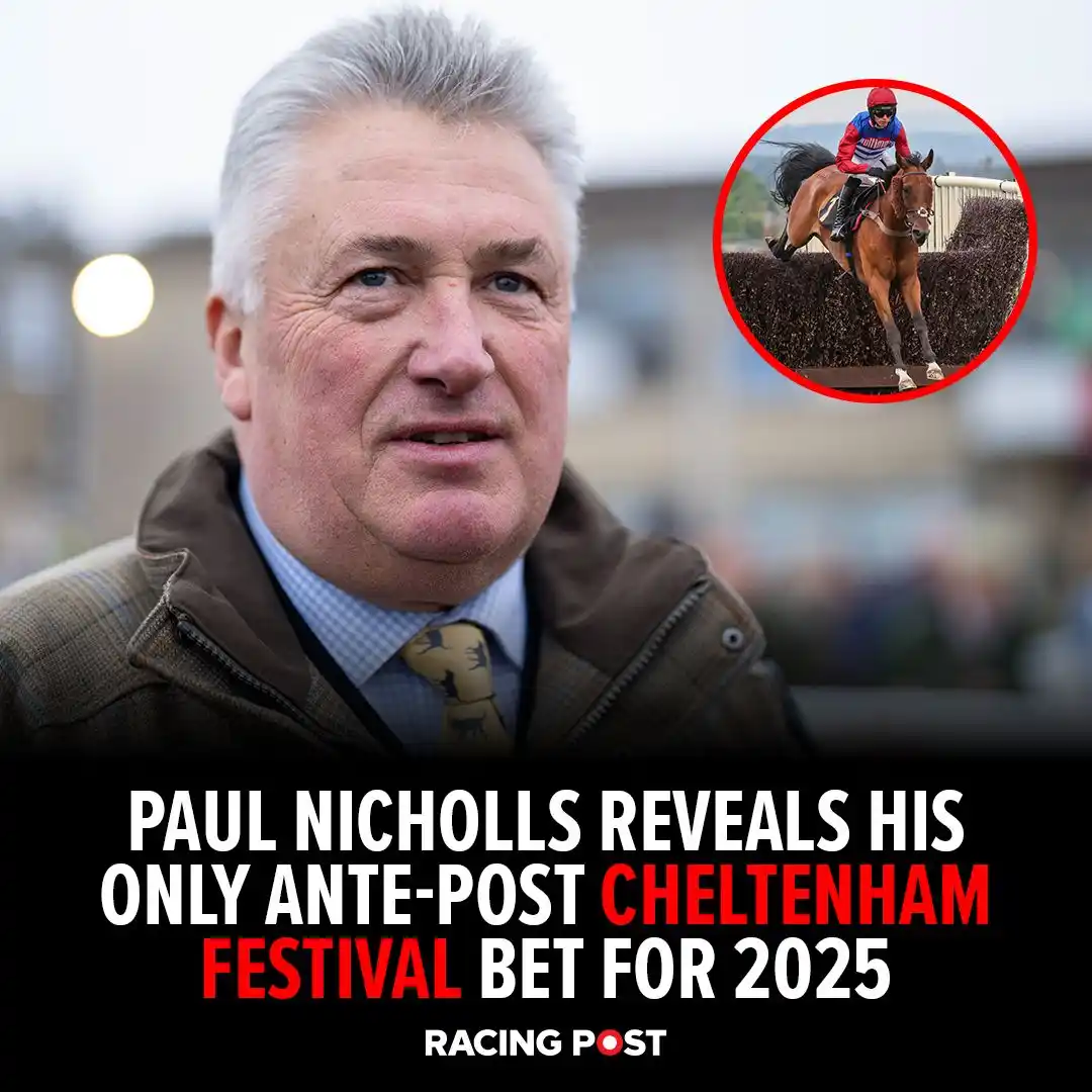 Racing Post Insider post