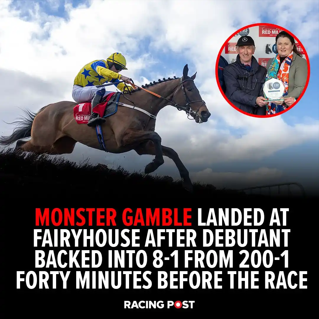 Racing Post Insider post