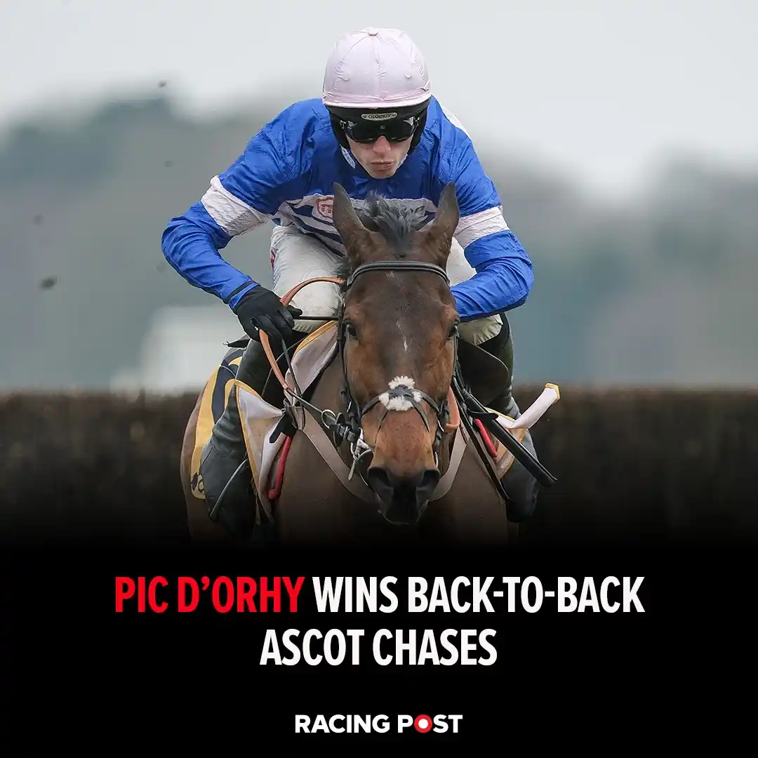 Racing Post Insider post