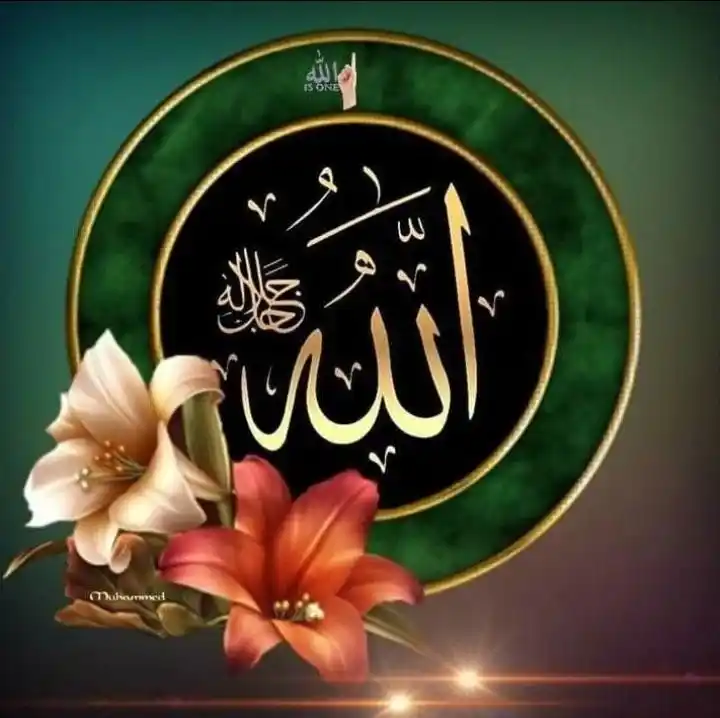 RAZA E MUSTAFAﷺ post