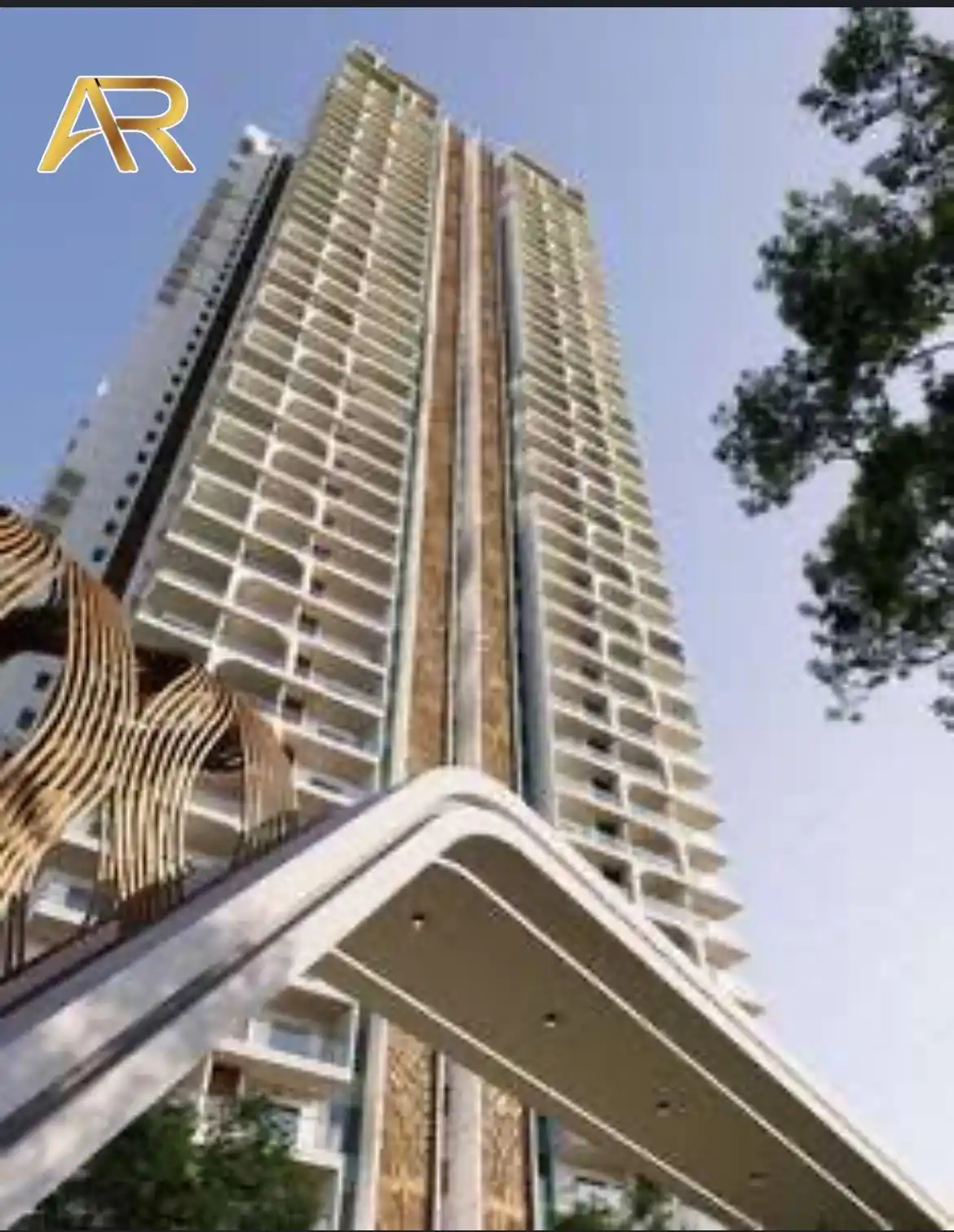 Realtor Reddy post