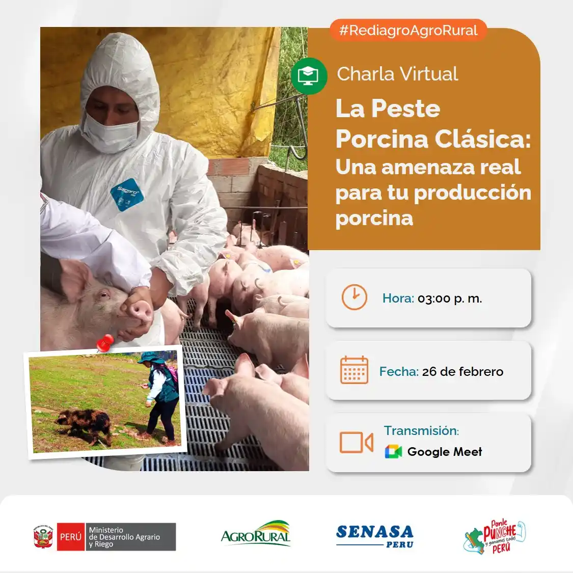 REDIAGRO AGRORURAL post