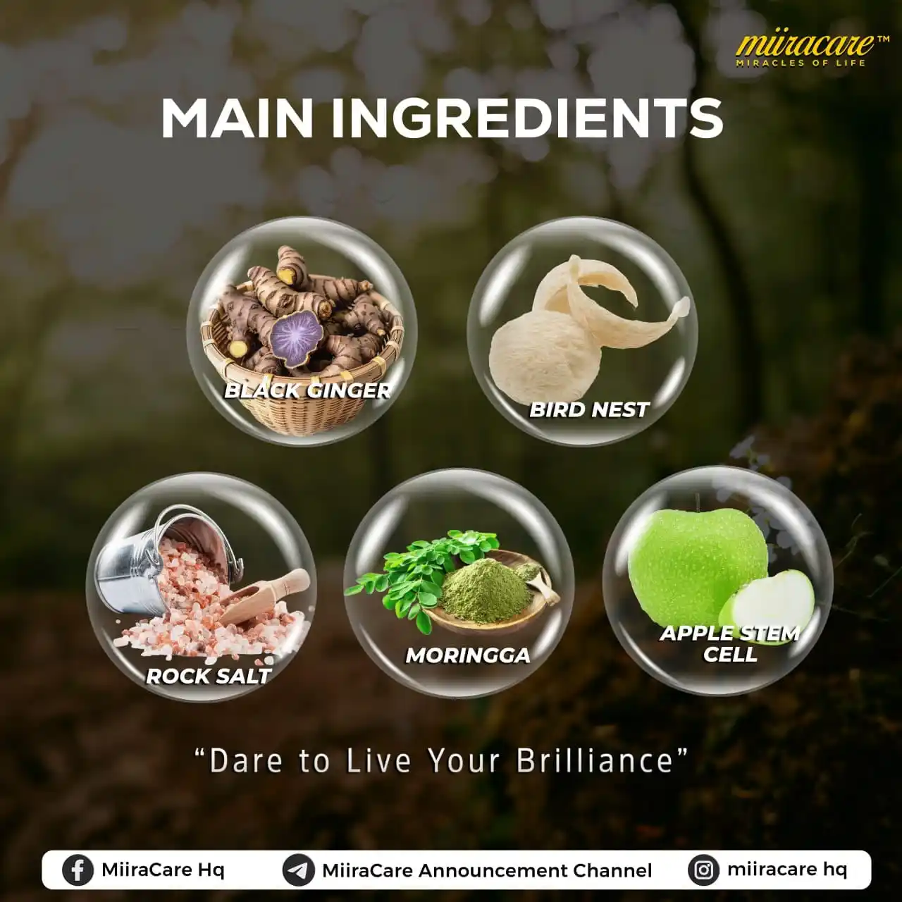 Revoobit Official Channel post