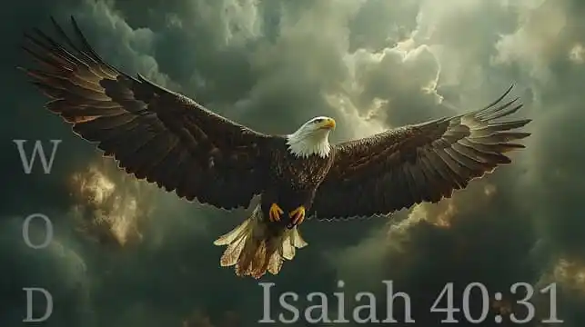 Richard Kaf💧 post